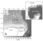 Biomass and distribution of the red octopus (Octopus maya) in the north-east of the Campeche Bank