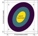 Long-term environmental data explain better the abundance of the red octopus (Octopus maya) when testing the niche centroid hypothesis